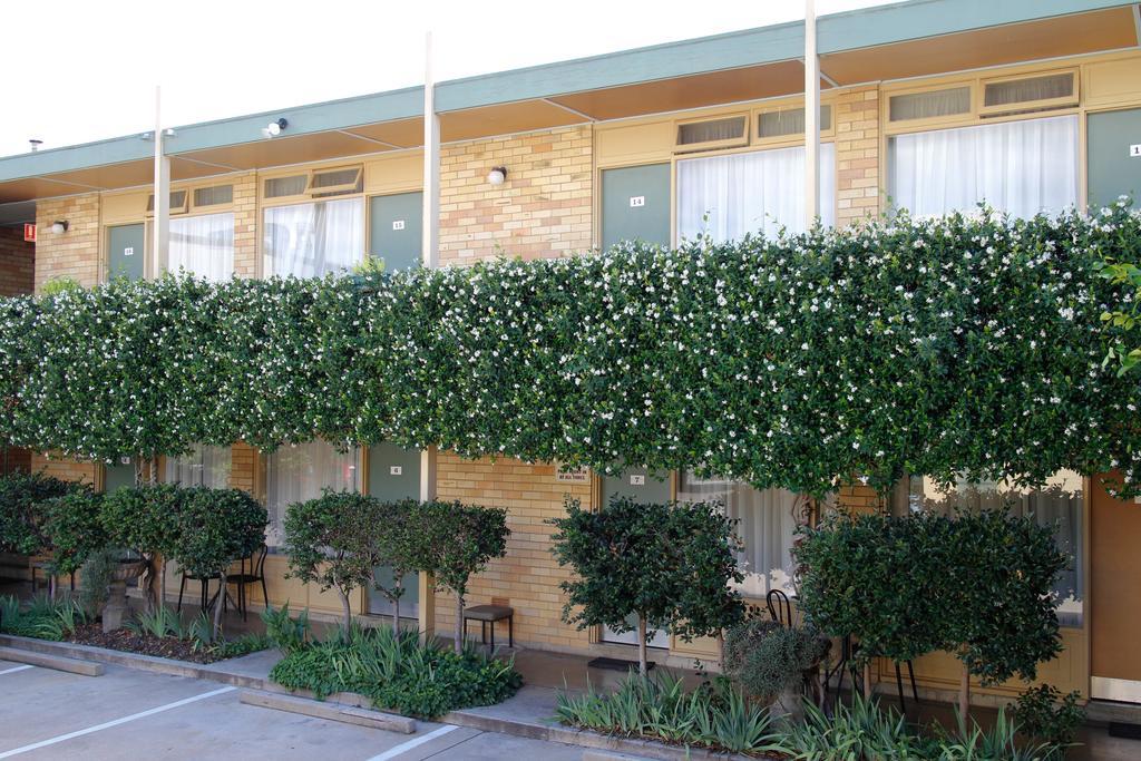 Mid City Motor Inn Queanbeyan Værelse billede